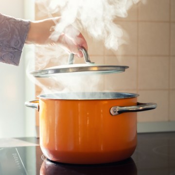 Find your Best Nutritious Cooking Method with Examples of Steaming Food