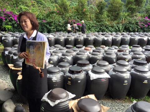 Ultimate Japanese Gourmet Food Tour
