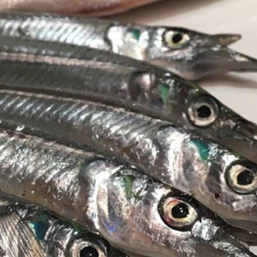 How to Buy & Store Fish