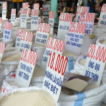 Rice Guide