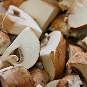 Sources Of Umami