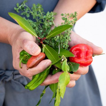 Bush Food Cooking Hamper Delivered & Online Class