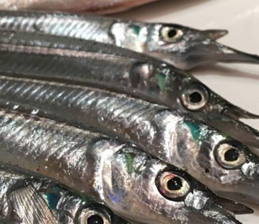 How to Buy & Store Fish
