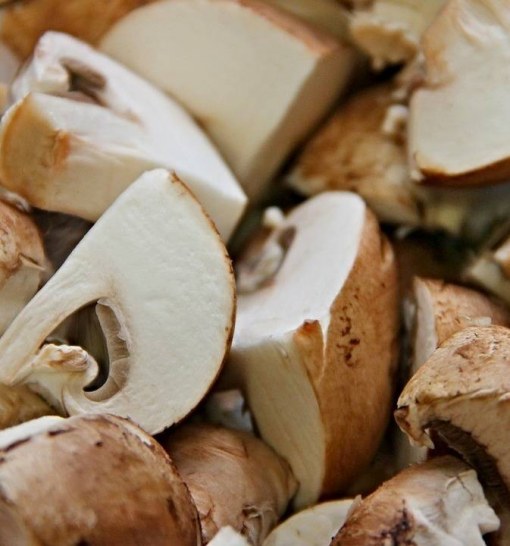 Sources Of Umami