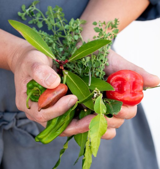 Cooking for Special Diets: A Comprehensive Guide